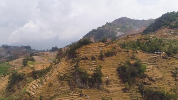 Tropická krajina se zemědělskou půdou v horách — Stock video