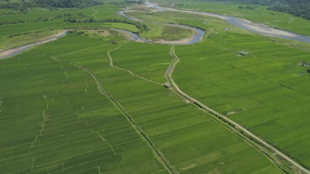 Vallée de montagne avec des terres agricoles aux Philippines — Video