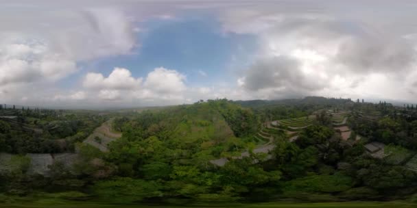 Gruntów rolnych tropikalny krajobraz w Indonezji vr360 — Wideo stockowe