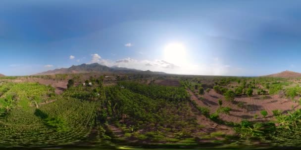 Tropikal peyzaj tarım arazileri ve köy Bali, Endonezya. vr360 — Stok video