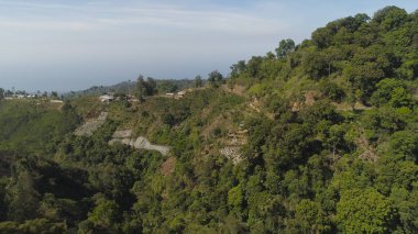 Dağ manzarası tarım arazileri ve Endonezya Bali köyü.