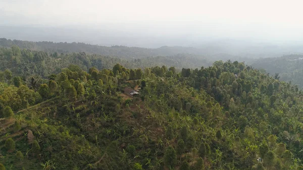 山の風景の農地と村バリ,インドネシア. — ストック写真