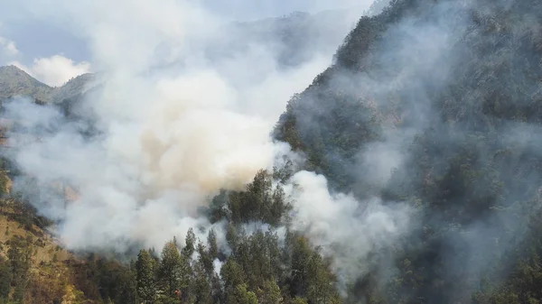 forest fire in the mountains