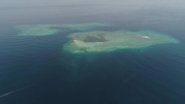 Zeegezicht koraalrif in zee — Stockvideo