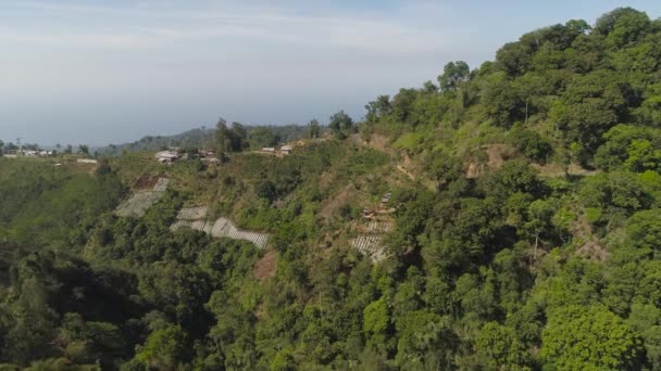 Paysage de montagne terres agricoles et village Bali, Indonésie. — Video