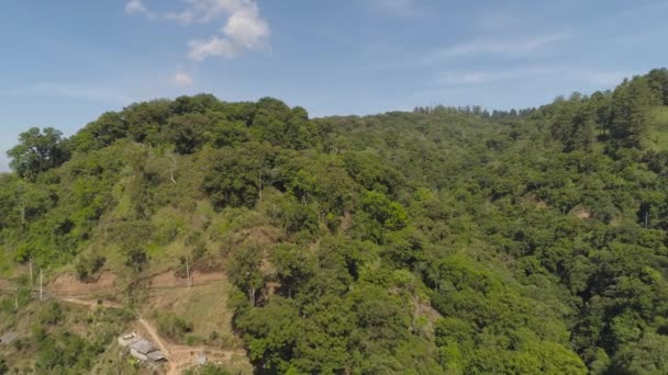 Paisaje tropical selva tropical y montañas — Vídeos de Stock