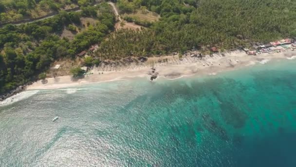 Piaszczysta plaża w tropikalnym kurorcie — Wideo stockowe