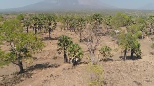 Paisagem montanhosa Vulcão Agung, Bali, Indonésia — Vídeo de Stock