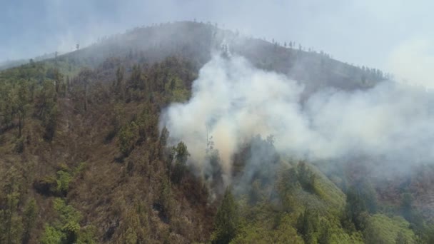feu de forêt dans les montagnes