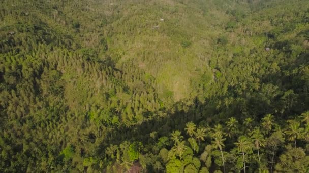 Paesaggio tropicale foresta pluviale e montagne — Video Stock