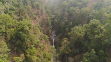 Tropikal manzara yağmur ormanları ve şelale