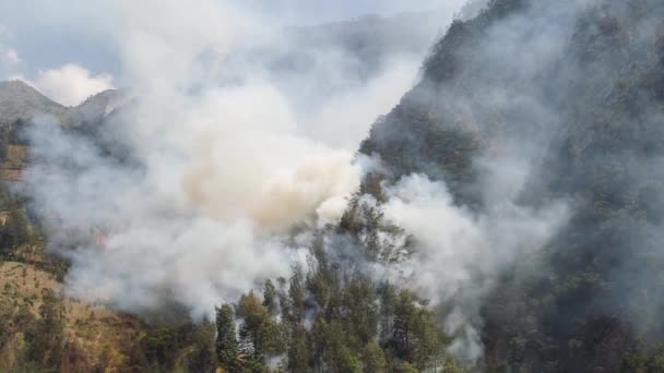 Bosbrand in de bergen — Stockvideo