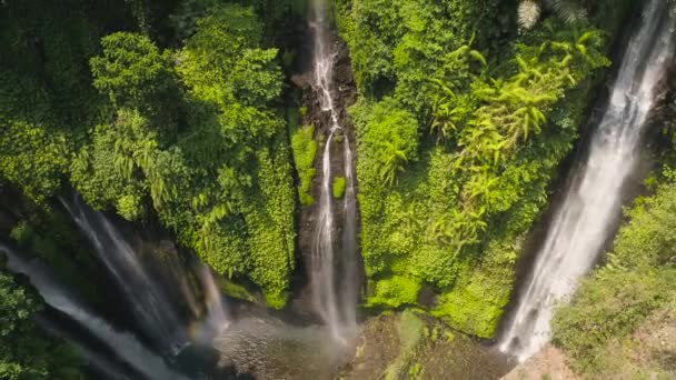 Vackert tropiskt vattenfall Bali, Indonesien. — Stockvideo