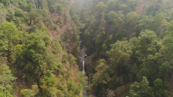 Tropical landscape rainforest and waterfall — Stock Video