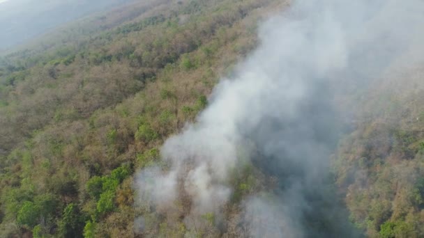 feu de forêt dans les montagnes