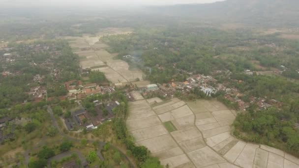 Rice terraces and agricultural land in indonesia — Stock Video