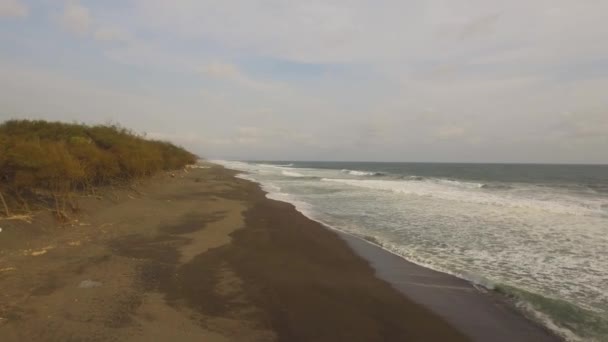 Песчаный пляж возле океана — стоковое видео