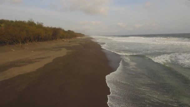 Піщаний пляж біля океану — стокове відео