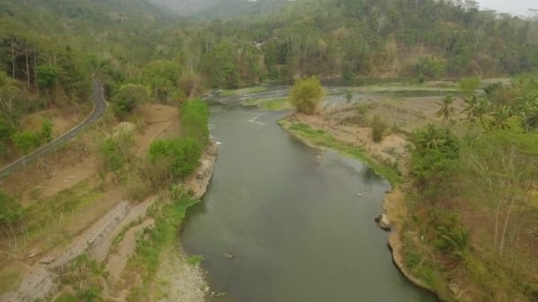 Tropical landscape river, farmers land — Stock Video