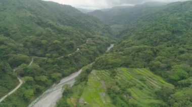 Filipinler, Luzon dağ manzarası.