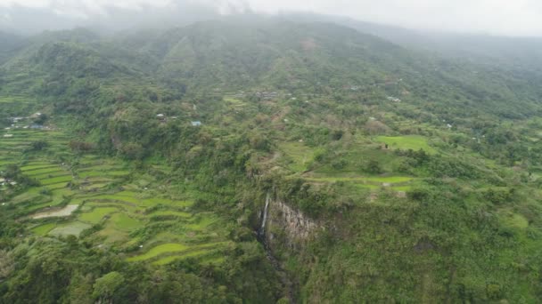 Рисовые террасы в горах. — стоковое видео