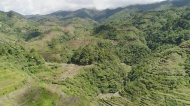 Dağlarda pirinç terasları. Filipinler, Batad, Banaue.