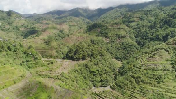 Ταράτσες ρυζιού στα βουνά. Φιλιππίνες, Batad, Banaue. — Αρχείο Βίντεο