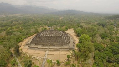 Borobudur Budist Tapınağı