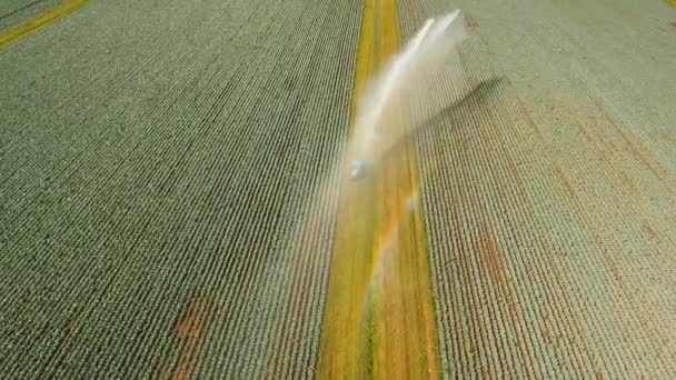 Sistem de irigare pe terenuri agricole . — Videoclip de stoc