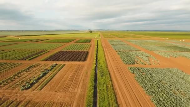 Vista aérea de las tierras de cultivo . — Vídeos de Stock