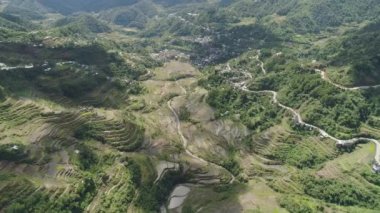 Dağlarda pirinç terasları. Filipinler, Batad, Banaue.