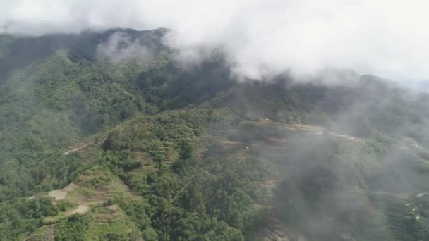 Risterrasser i bergen. Filippinerna, Batad, Banaue. — Stockvideo