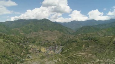 Dağlarda pirinç terasları.