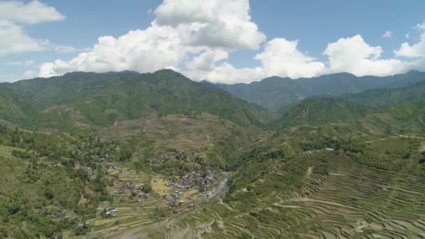 Rice terraces in the mountains. — Stock Video