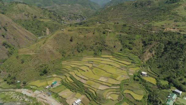Terraços de arroz nas montanhas. — Vídeo de Stock