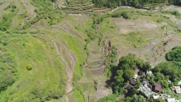 Widok Lotu Ptaka Tarasy Ryżowe Zboczach Gór Banaue Filipiny Uprawy — Wideo stockowe