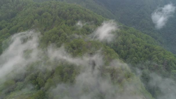 필리핀 의산성 도. — 비디오