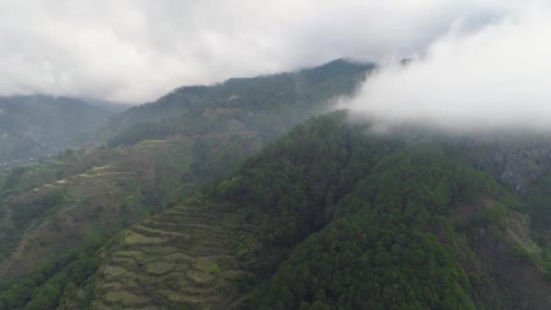 高山上的稻田. — 图库视频影像