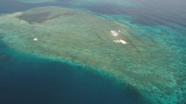 Denizdeki deniz manzaralı mercan resifi