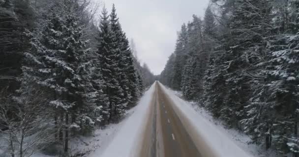 Camino de invierno en el bosque. — Vídeo de stock