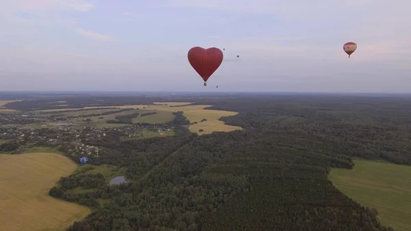 Des montgolfières dans le ciel au-dessus d'un champ . — Photo