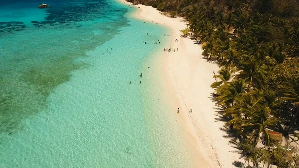 Vue aérienne belle plage sur une île tropicale Malcapuya. Philippines . — Photo