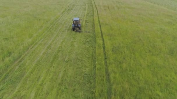 Trator corta a grama — Vídeo de Stock