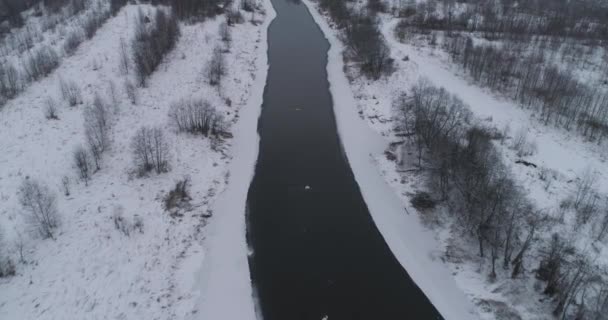 Invierno río paisaje — Vídeo de stock