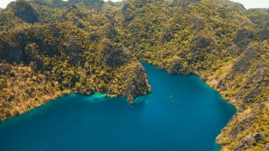 Filipinler, Coron, Palawan 'da tropikal bir adada Barakuda Gölü.
