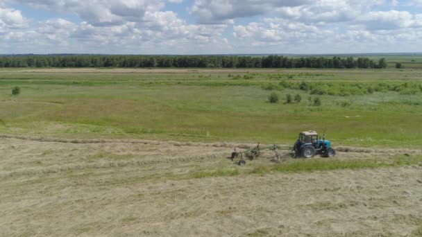 Трактор с граблями на фермерском поле. — стоковое видео