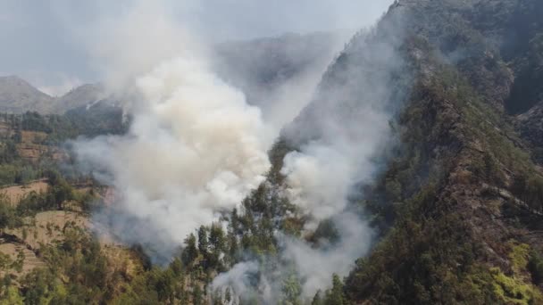 feu de forêt dans les montagnes