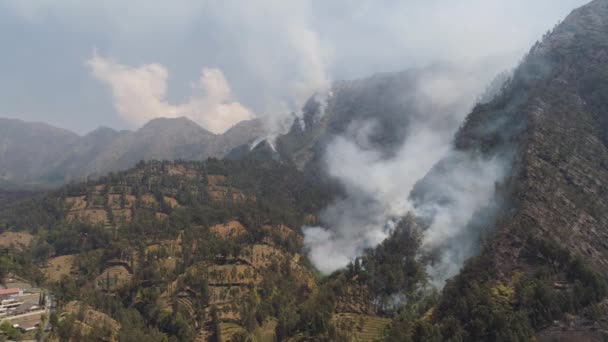 Waldbrand in den Bergen — Stockvideo