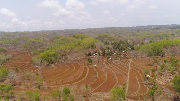 Landbouwlandschap in Azië — Stockvideo