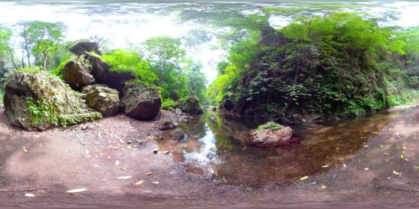 Río en la selva en Asia vr360 — Vídeo de stock